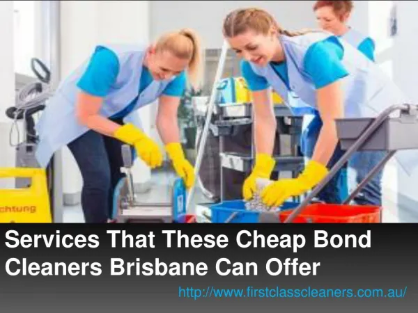 Services That These Cheap Bond Cleaners Brisbane Can Offer