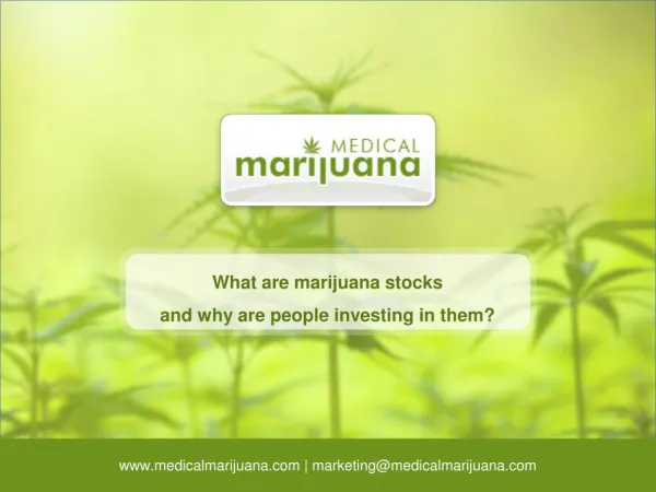 What are Marijuana Stocks and Why are People Investing in Them?