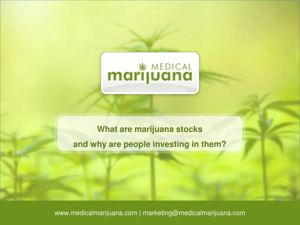 what are marijuana stocks and why are people