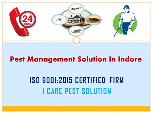 Pest Management Solution in Indore