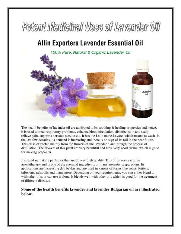 Potent Medicinal Uses of Lavender Oil