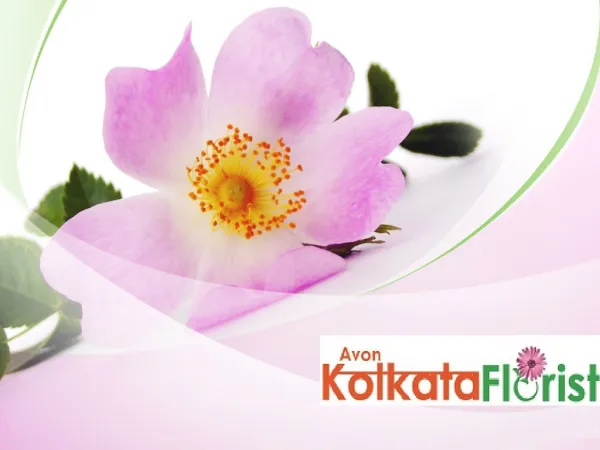 Avon Kolkata Florist