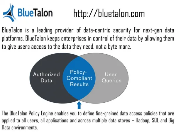 Big Data-centric security of Blutalon