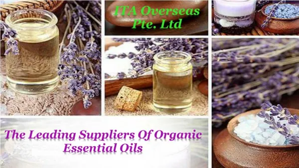 The Leading Suppliers of Organic Essential Oils