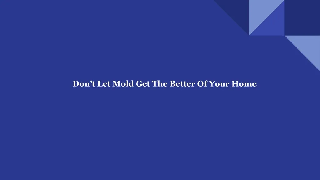 don t let mold get the better of your home