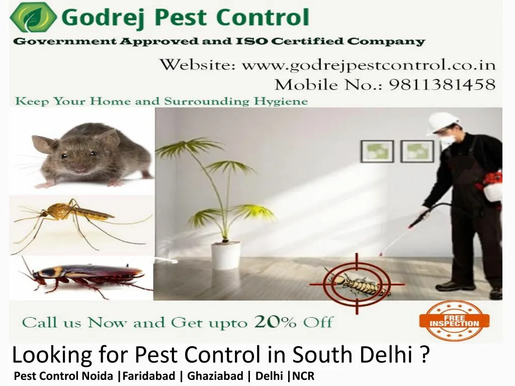 looking for pest control in south delhi pest