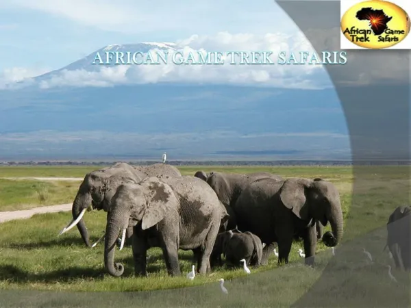 Are You Looking for the Best Kenya Adventure Safaris with Africangametreksafaris