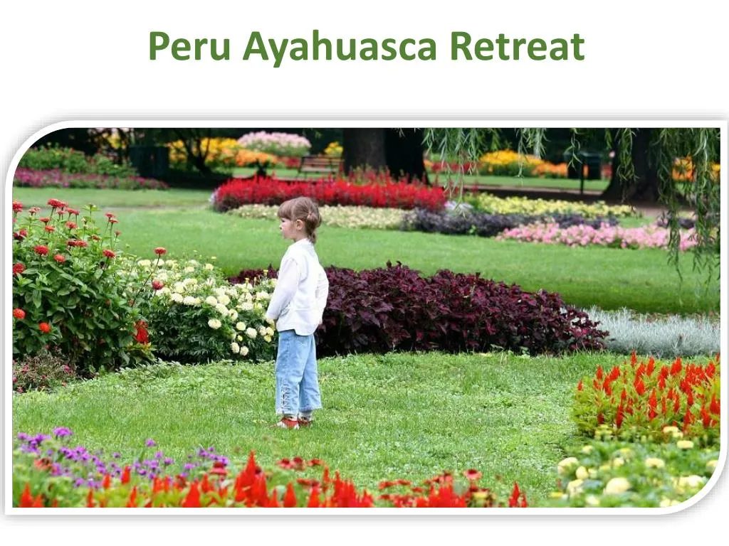 peru ayahuasca retreat