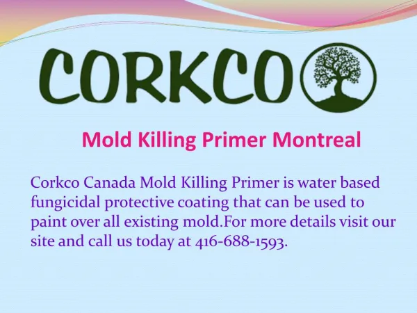 Mold Killing Primer Montreal