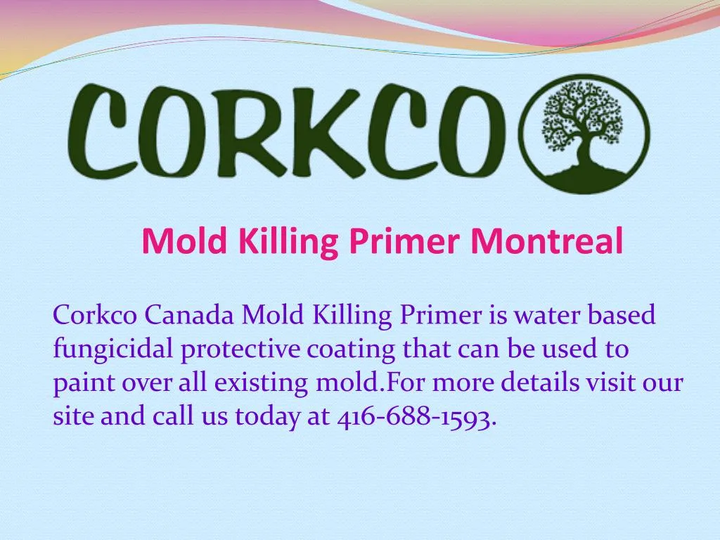 mold killing primer montreal