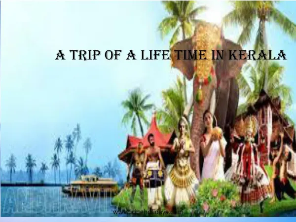 a trip of a lifetime in kerala