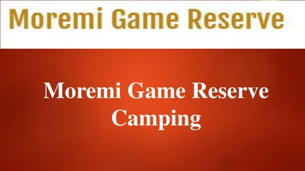 moremi game reserve camping 