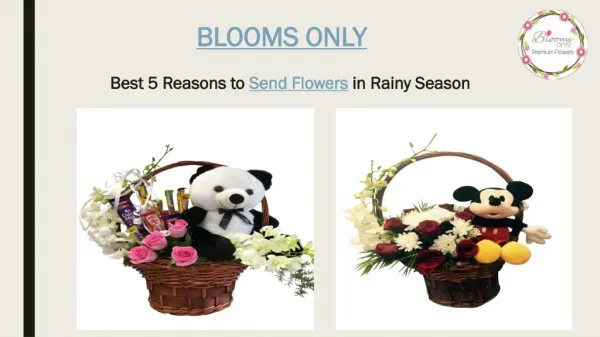 Five Reasons to Send Flowers Online in Rainy Season – Blooms Only
