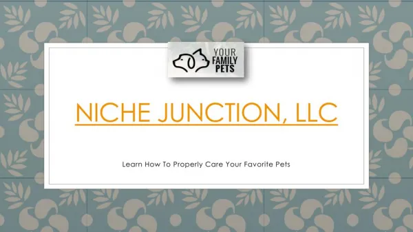 Niche Junction, LLC