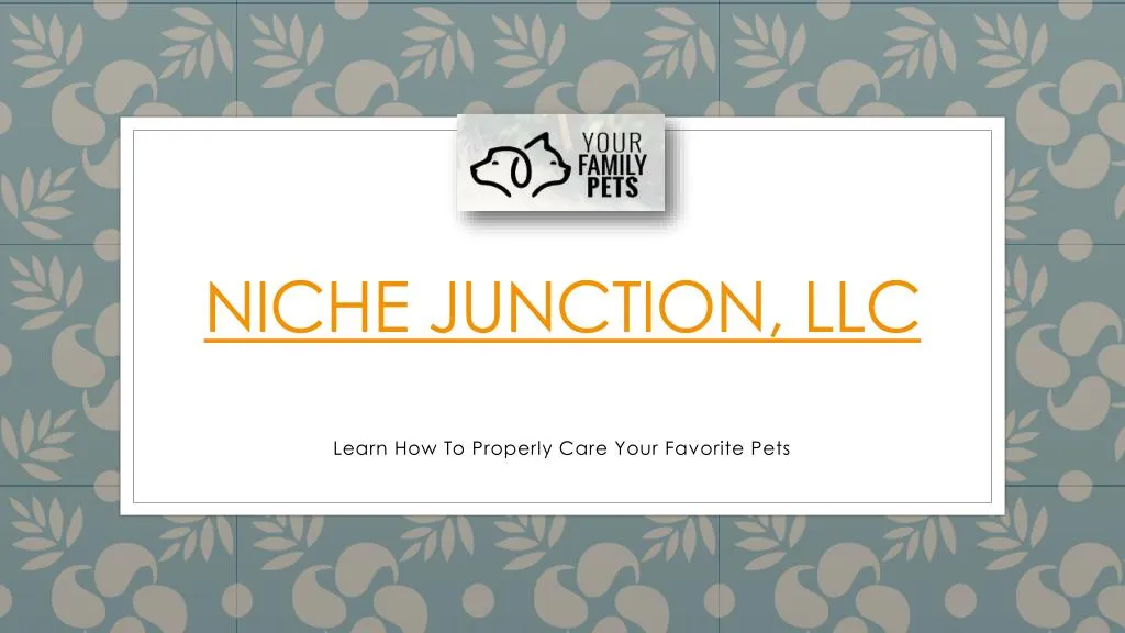 niche junction llc