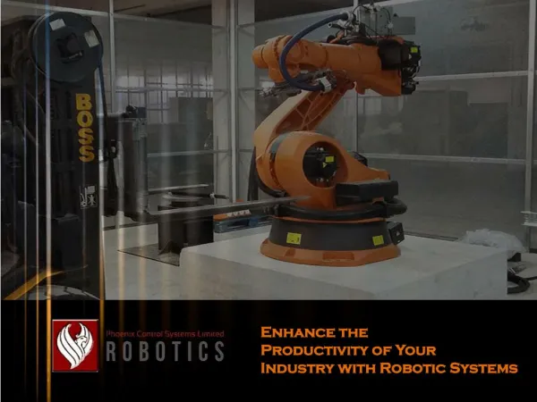 Enhance the Productivity of Your Industry with Robotic Systems