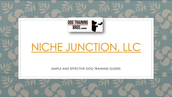 Niche Junction, LLC