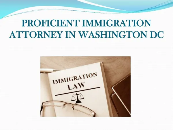 Proficient Immigration Attorney in Washington DC