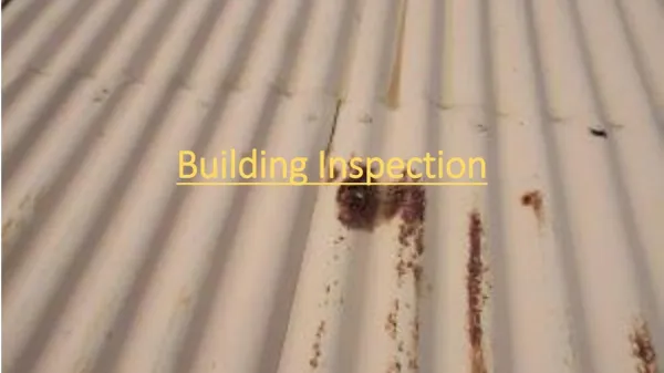 Building Inspections