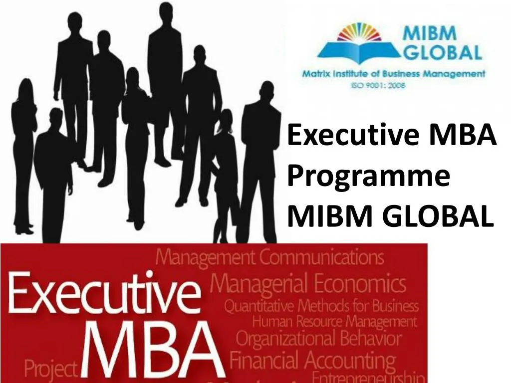 executive mba programme mibm global