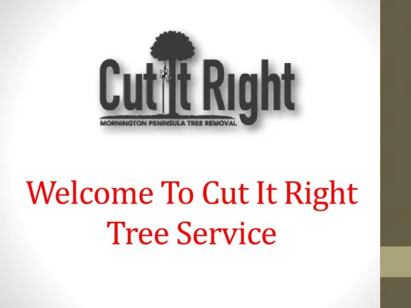 Cut It Right Tree Service