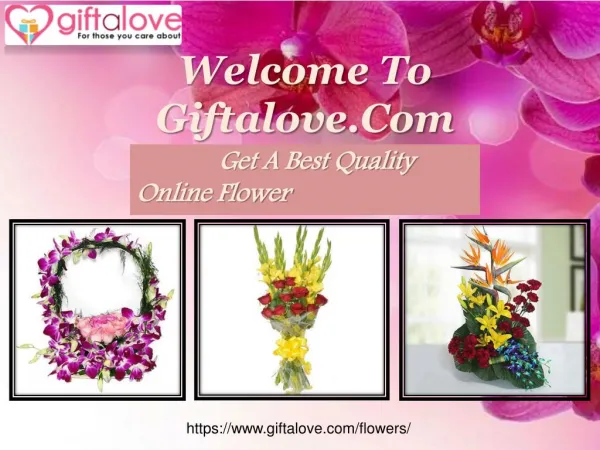 Send flowers online with free shipping