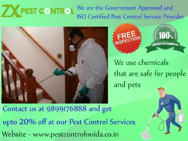 Get Free Inspection & 20% Discount Pest Control Noida & Delhi/NCR