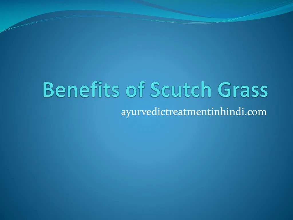 benefits of scutch grass