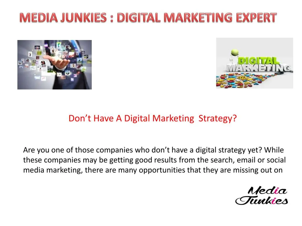 media junkies digital marketing expert