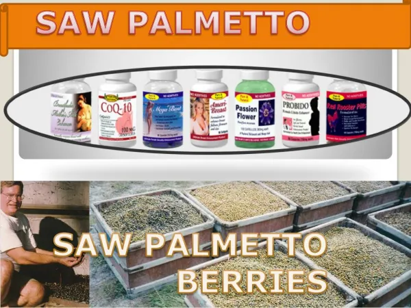 Saw Palmetto: Health, Beauty, Benefits, Uses