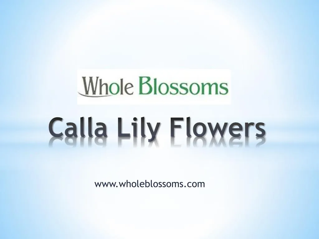 calla lily flowers