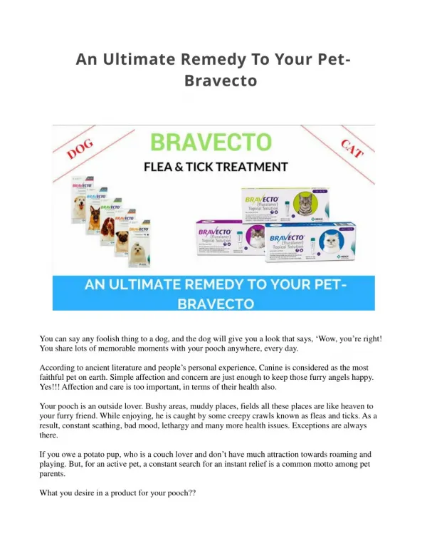 An Ultimate Remedy To Your Pet Bravecto