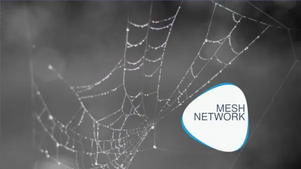 Mesh_Network
