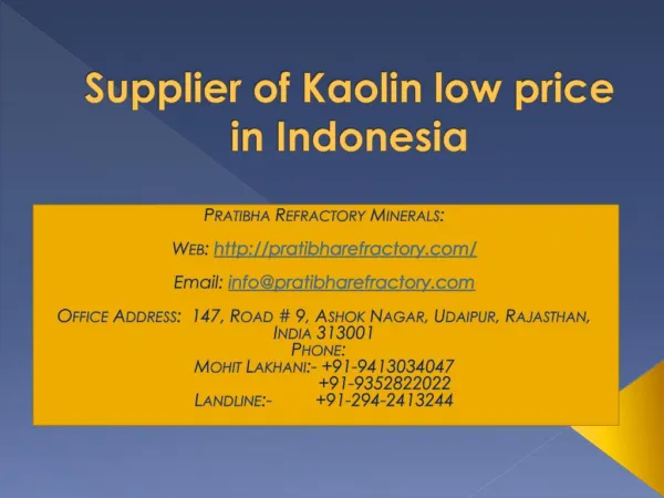 Supplier of Kaolin low price in Indonesia