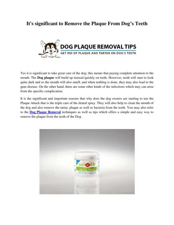 It's significant to Remove the Plaque From Dog’s Teeth