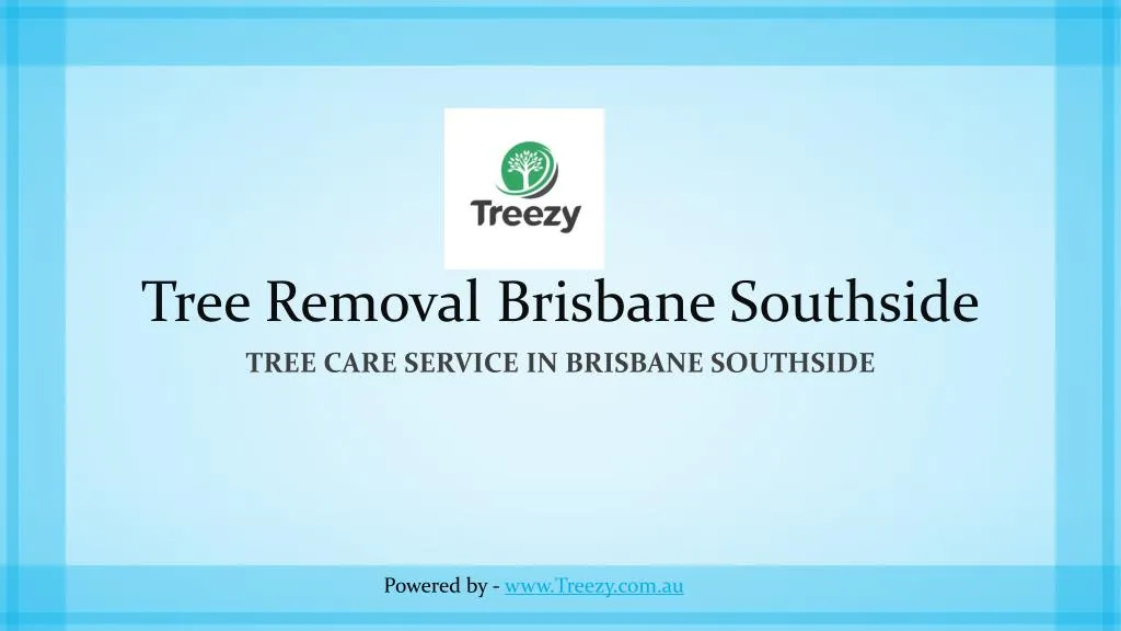tree removal brisbane southside
