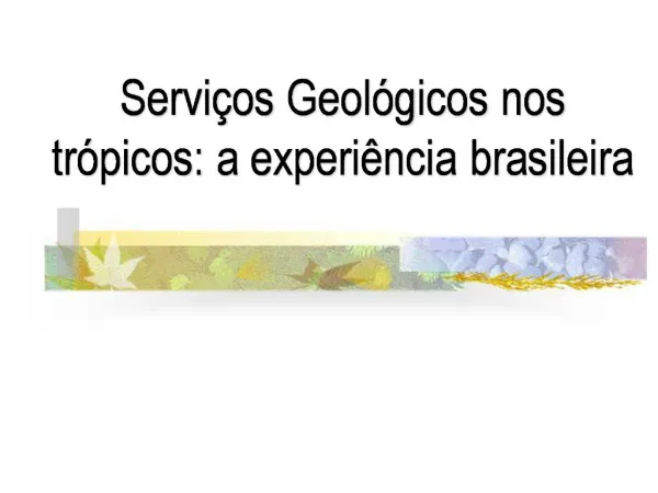 Servi os Geol gicos nos tr picos: a experi ncia brasileira