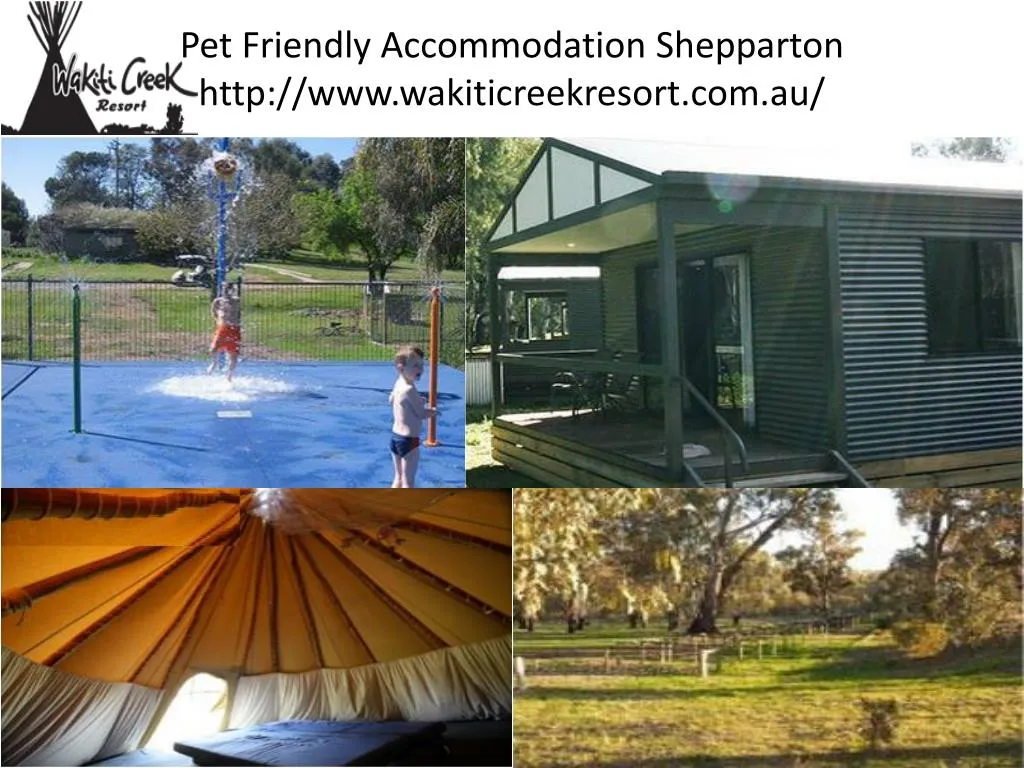 pet friendly accommodation shepparton http www wakiticreekresort com au