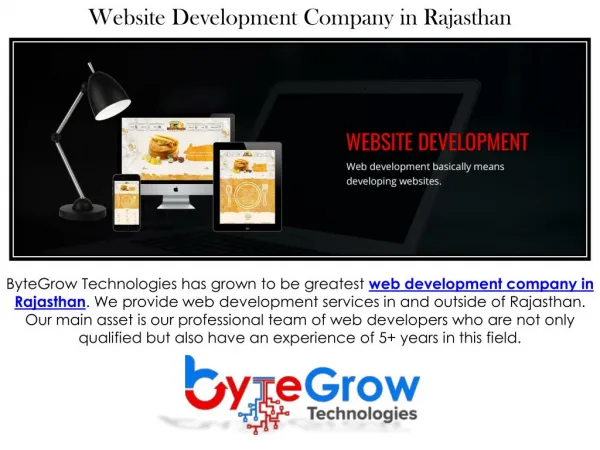 Superb Web Development Company in Rajasthan - Bytegrow Technologies