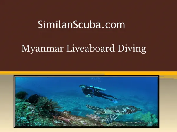 Myanmar Liveaboard Diving