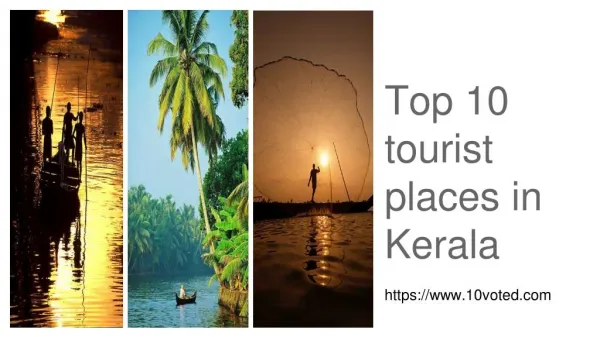 Top 10 Tourist Places to Visit in Kerala