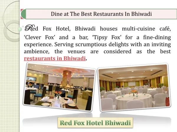 Dine at The Best Restaurants in Bhiwadi