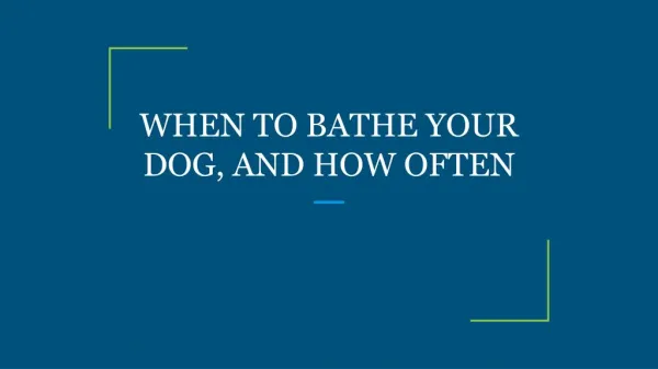 WHEN TO BATHE YOUR DOG, AND HOW OFTEN