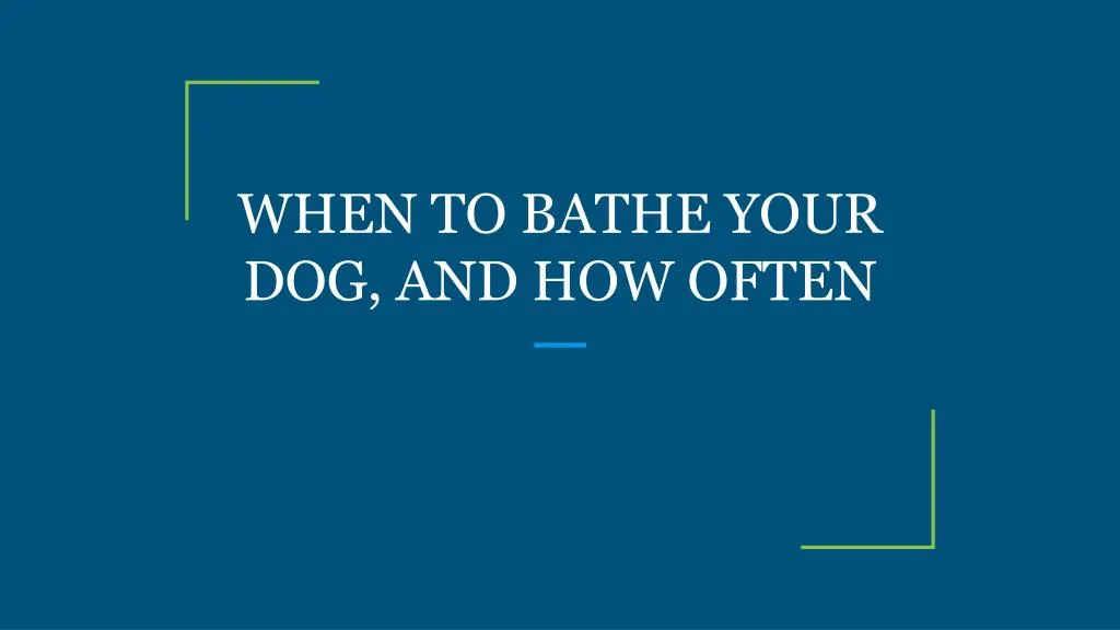 when to bathe your dog and how often