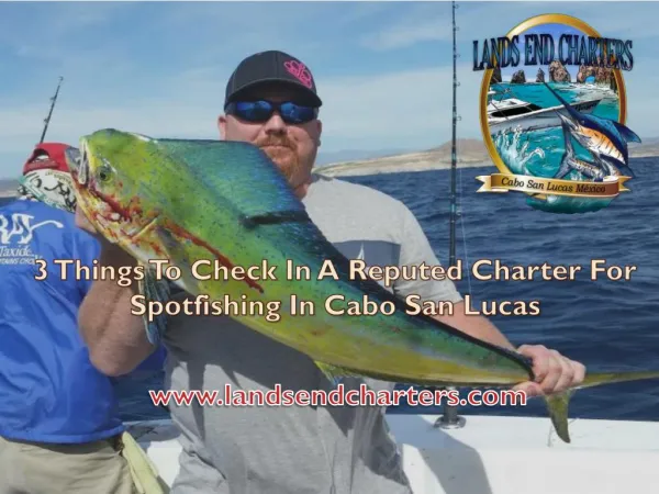 3 Things To Check In A Reputed Charter For Spotfishing In Cabo San Lucas