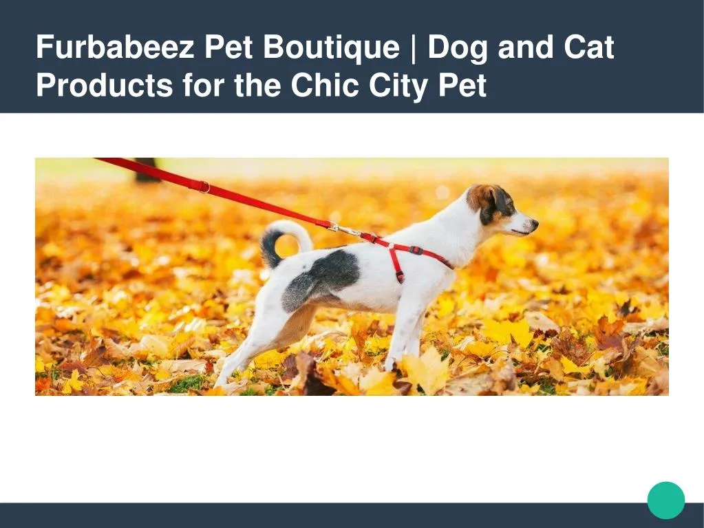furbabeez pet boutique dog and cat products