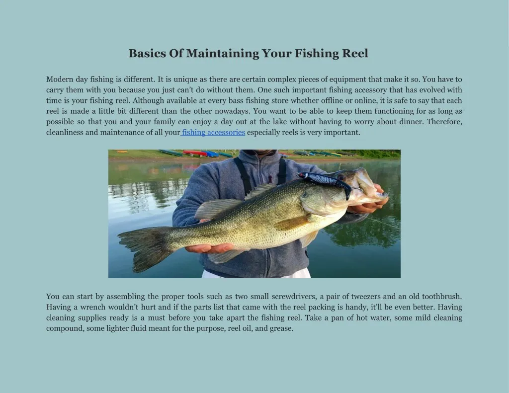 basics of maintaining your fishing reel modern