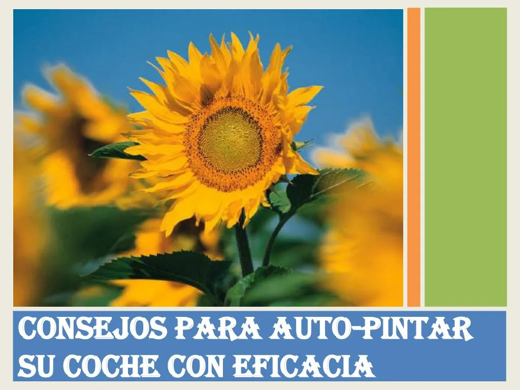 consejos para auto pintar su coche con eficacia