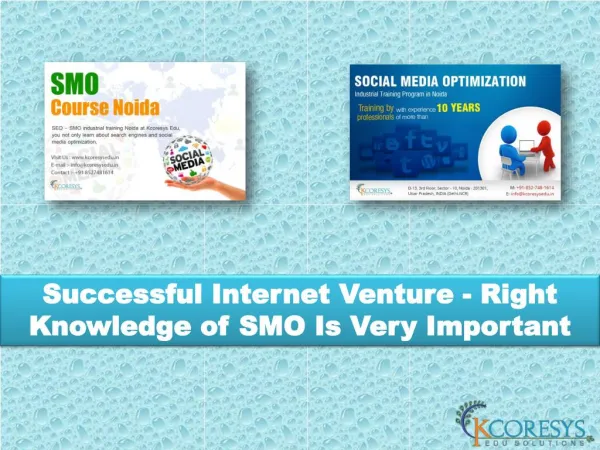 Successful Internet Venture - Right Knowledge of SMO Is Very Important