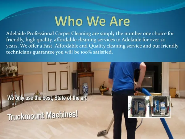 Reasons behind Choosing Carpet Cleaning Services
